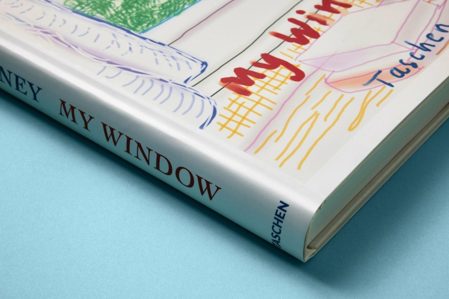 Hockney My Window