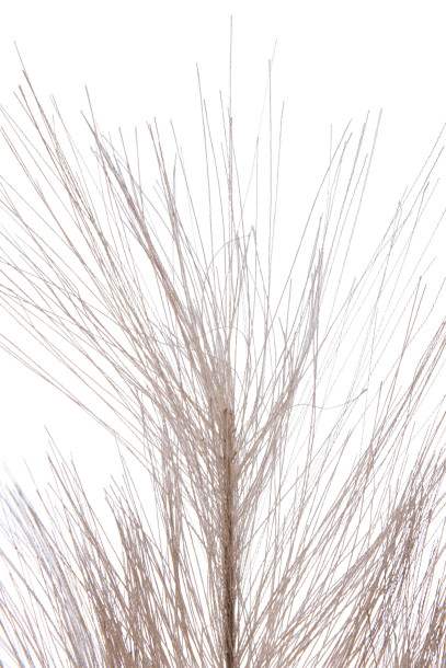 Декоративная ветвь Plumeau dark brown S